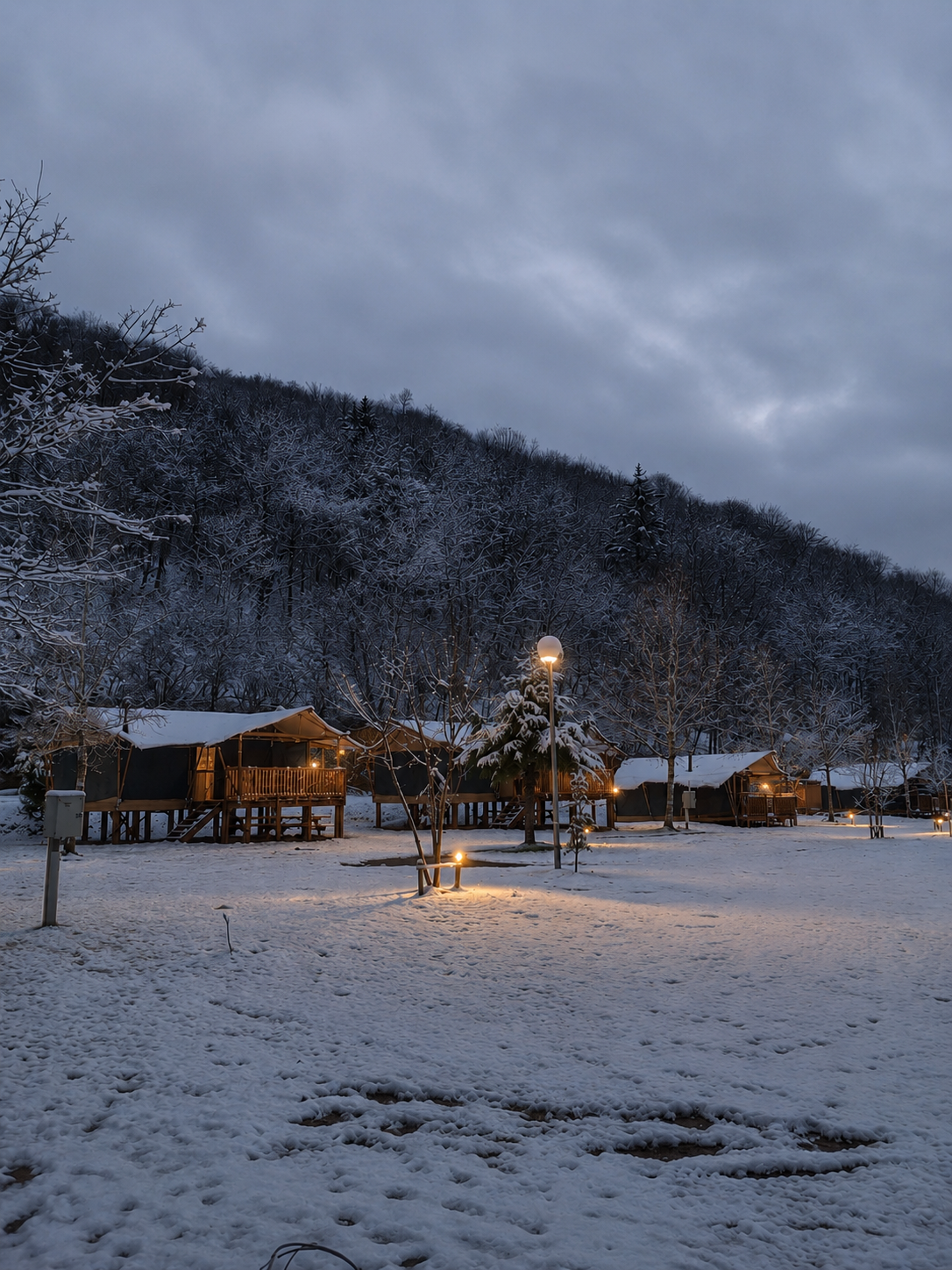 Yala lodges winter